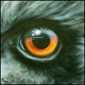 Augenblick eines Emus Acryl auf Leinwand;
30 x 30 cm